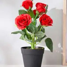 Corsica Artificial Rose Plant in Pot-20