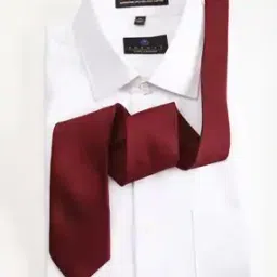 louis philippe Men Patterned Solid Tie-picture-29