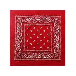 PaisleyUnisex Cotton Paisley Bandanas-image-93