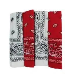 aadishwar creations Paisley Unisex Cotton Paisley Bandanas-picture-25