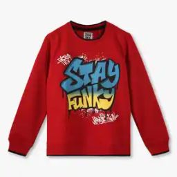 Boys Typographic Print Regular Fit Round-Neck Sweatshirt-picture-42