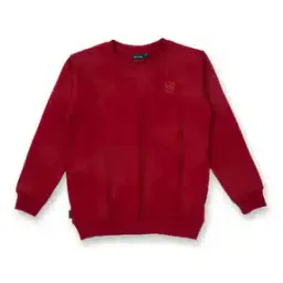Printed Round-Neck Sweatshirt-picture-42