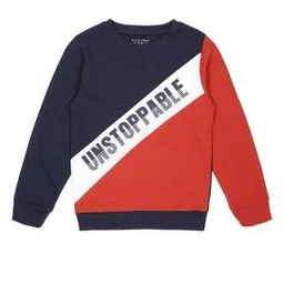 plumtree Boys Colourblock Regular Fit Sweatshirt-picture-15
