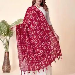 Women Printed Dupatta with Tassels-20