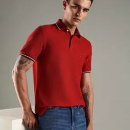 Men Regular Fit Polo T-Shirt with Contrast Tipping-image-76
