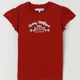 tommy hilfiger  Cotton Regular Fit Logo Round- Neck T-Shirt-picture-44