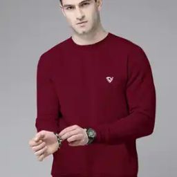 Men Logo Print Regular Fit Sweatshirt-image-67