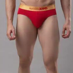 Regular Fit Briefs-picture-22