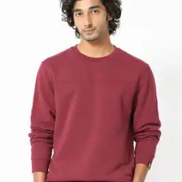 Men Regular Fit Crew-Neck Sweatshirt-image-53