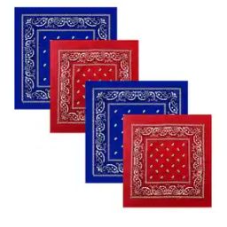 Cotton Paisley Bandanas-image-85