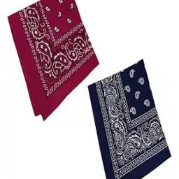 Unisex Pack of 2 Paisley Print Cotton Bandanas-image-88
