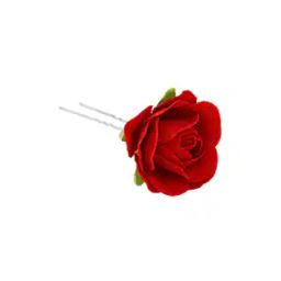 Hair Care Accessories-26