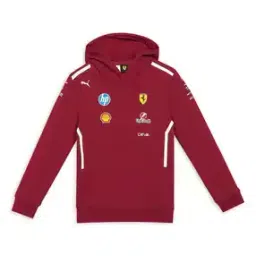 puma Regular Fit Graphic Print Hoodie-picture-38