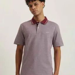 Men Checked Regular Fit Polo T-Shirt-image-20