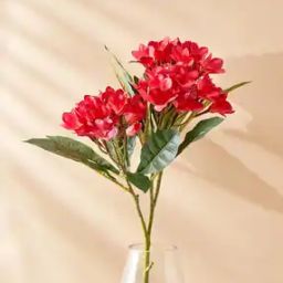 Botanical Artificial Frangipani Flower - 80cm-picture-13