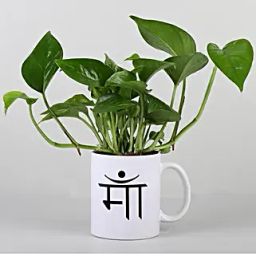 Money Plant In Maa Printed Mug-15