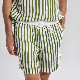 Terra Luna Men Striped Slim Fit Linen Technology Shorts-image-92