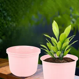 Kuber Industries Pink 3 Pieces Planters With Plates-89