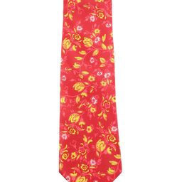 Alvaro Castagnino Men Red & Yellow Floral Printed Skinny Tie-image-91