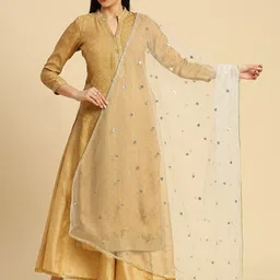 Dupatta Bazaar Geometric Embroidered Sequinned Detailed Net Dupatta image 1