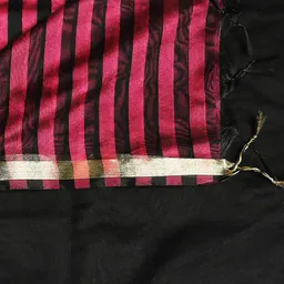Dupatta Bazaar Black & Fuchsia Striped Dupatta image 4