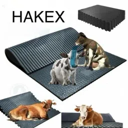 A85Black Cow Mat For all animals, BPA Free, Easy Clean And Waterproof Size 8*5 | Cow, Hamster Pet Mat-image-83