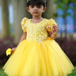 Li & Li Boutique Puff Sleeve Net Fit & Flare Dress-image-33
