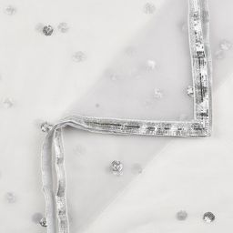 Dupatta Bazaar Silver-Toned Sequinned Dupatta image 3