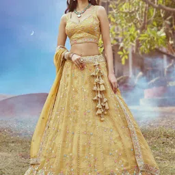 panchhi Embellished Beads & Stones Semi-Stitched Lehenga & Unstitched Blouse With Dupatta-picture-24