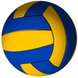 MULTICOLOR VOLLEYBALL, SIZE - 5 Volleyball - Size: 5-picture-15