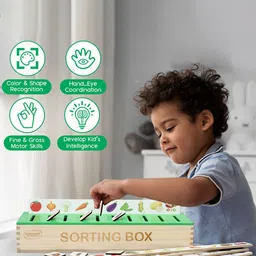Aditi Toys BPA Free Skill Development Toy Learning and Development Toys image 4