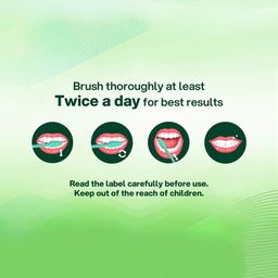 SBL Set Of 3 Homeodent Tooth Paste Neem Plus - 100 g Each image 5