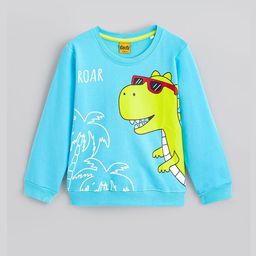 Hopscotch Boys Graphic Printed Sweatshirt-picture-48