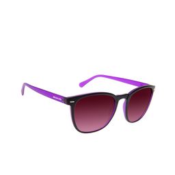 Chilli Beans Men Wayfarer Sunglasses With UV Protected Lens OCCL39271414-24