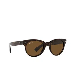 Ray-Ban Unisex Round Sunglasses with Polarised Lens 8056597461641-1