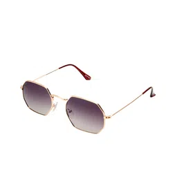 Roadies Unisex Brown Lens & Gold-Toned Sunglasses with Polarised Lens RD-106-C5-image-71