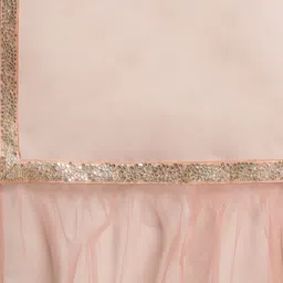 Ethnovog Sequinned & Embroidered Net Saree With Stitched Blouse image 4