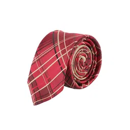 Alvaro Castagnino Men Red & Black Woven Design Skinny Tie-picture-15