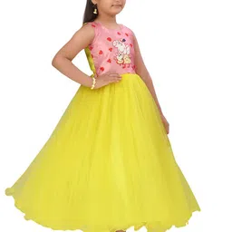 BAESD Net Maxi Dress image 3