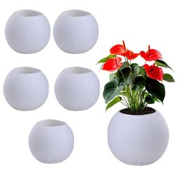 Kuber Industries 6Pcs White Pot Shaped Flower Planters-20