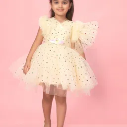 BAESD Polka Dot Print Flutter Sleeve Net Fit & Flare Dress image 2