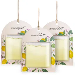 Gel Wink Hanging Car Perfume Lemon Last 30 days Easy to Use gel based air Car Freshener Diffuser-7