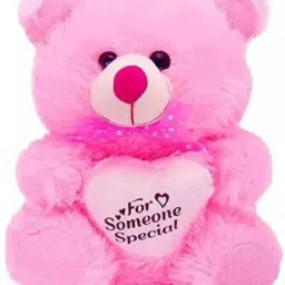 Soft toy for kidsSomeone Special Pink Teddy - 30 cm-9