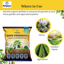 Rock Phosphate fertilizers for plants home garden Fertilizer-image-7