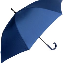 proof UV Coated Umbrella-20