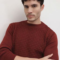 The Roadster Life Co. Geometric Self Design Woollen Pullover-picture-18