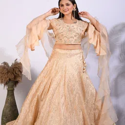Morchari Embroidered Lehenga & Blouse With Frill Dupatta-54
