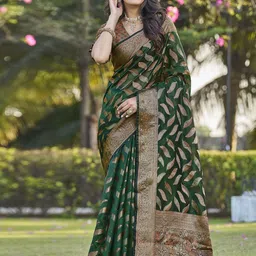 Satrani Woven Design Zari Organza Banarasi Saree-picture-34