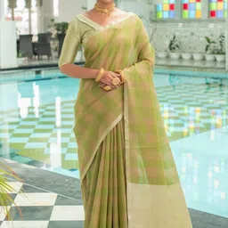 VISHNU WEAVES Checked Zari Pure Linen Saree-image-13