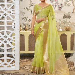 Satrani Zari Organza Banarasi Saree-23